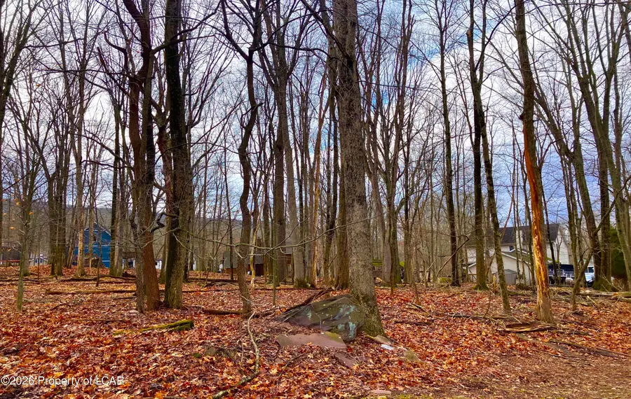 203 Lake Spring Circle, Drums, PA 18222 - Image #2