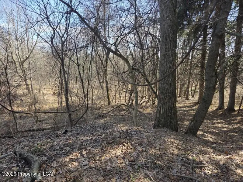 Charles Street, Larksville, PA 18704 - #1