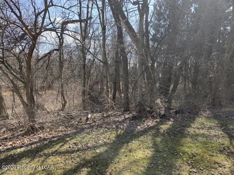 Charles Street, Larksville, PA 18704 - #3