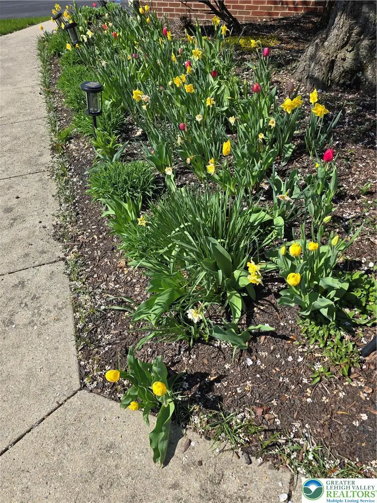 5205 High Vista Drive, South Whitehall, PA 18069 - #3