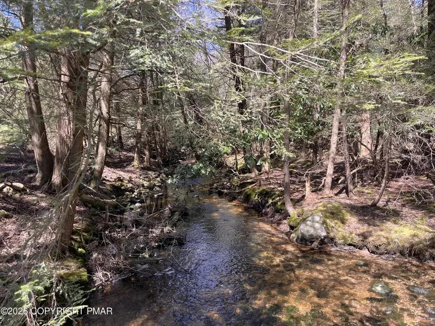 796 Towamensing, Towamensing Trails, PA 18235 - #2