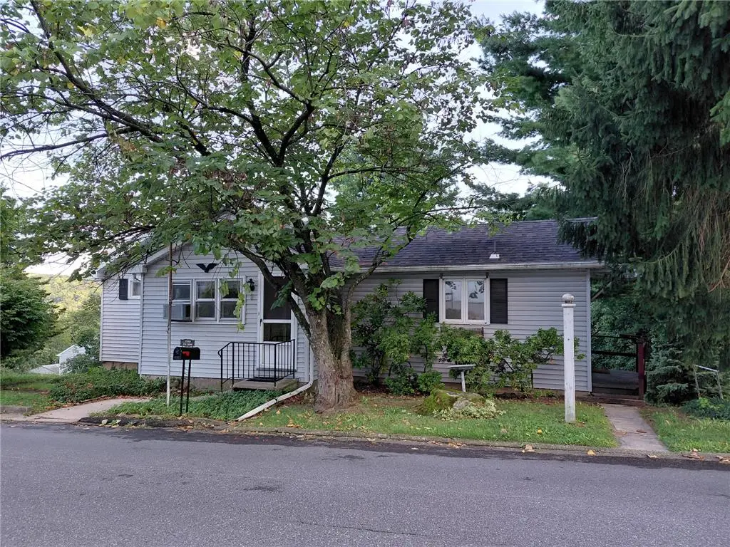 1514 Graham Street, Fountain Hill, PA 18015 - #1