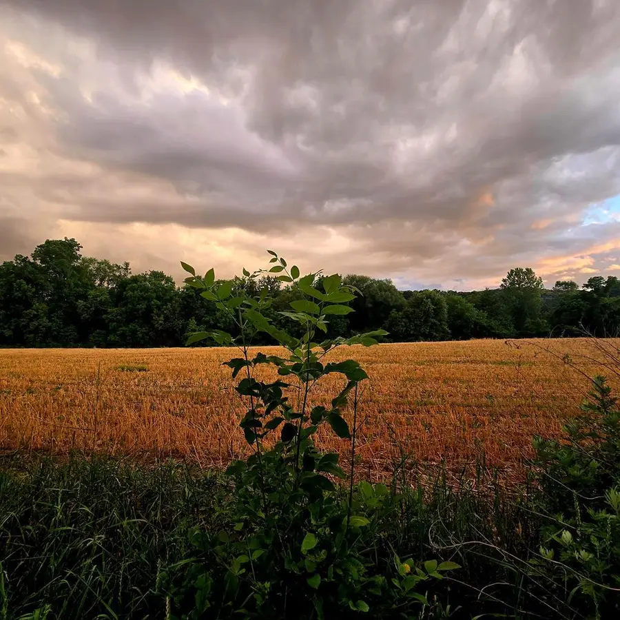 1053 Hornbrook Rd, Towanda, PA 18848 - Image #2