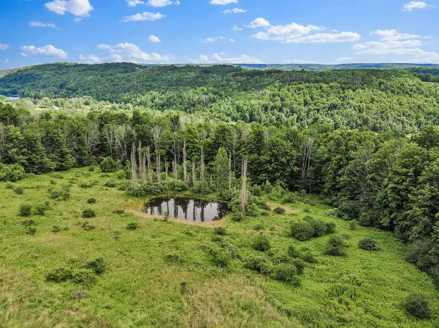 280 Sanitarium Hill Road, Columbia Cross Roads, PA 16914 - Image #3