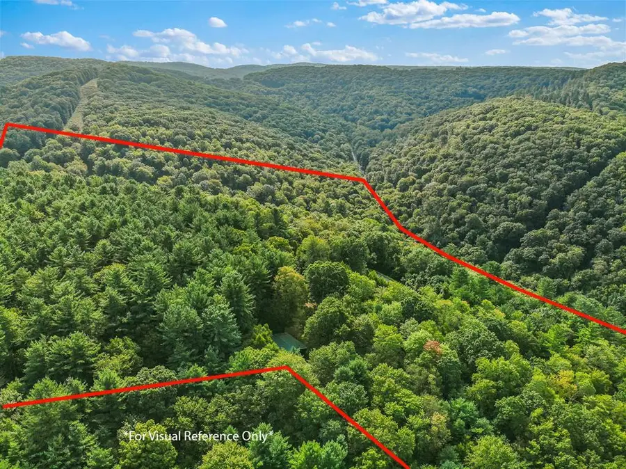 691 Elk Lick Rd, Austin, PA 16720 - Image #3