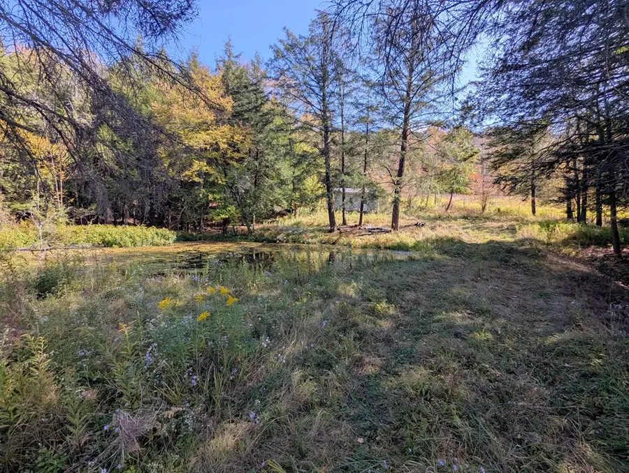 2004 Fallbrook Rd, Troy, PA 16947 - Image #2