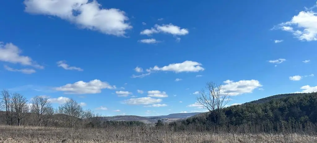 2313 Lot 2 Route 660, Covington, PA 16917 - #1