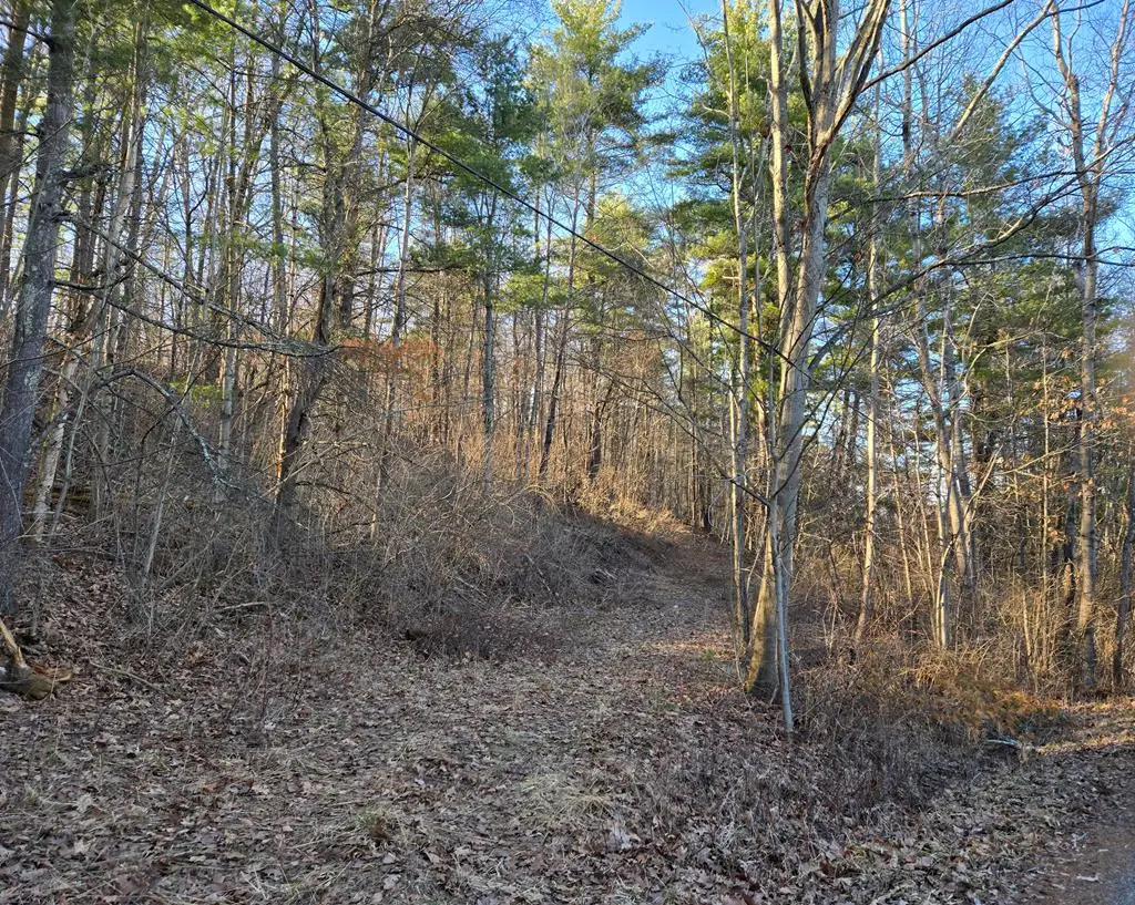 000 Edinger Hill Road, Laceyville, PA 18623 - Image #1