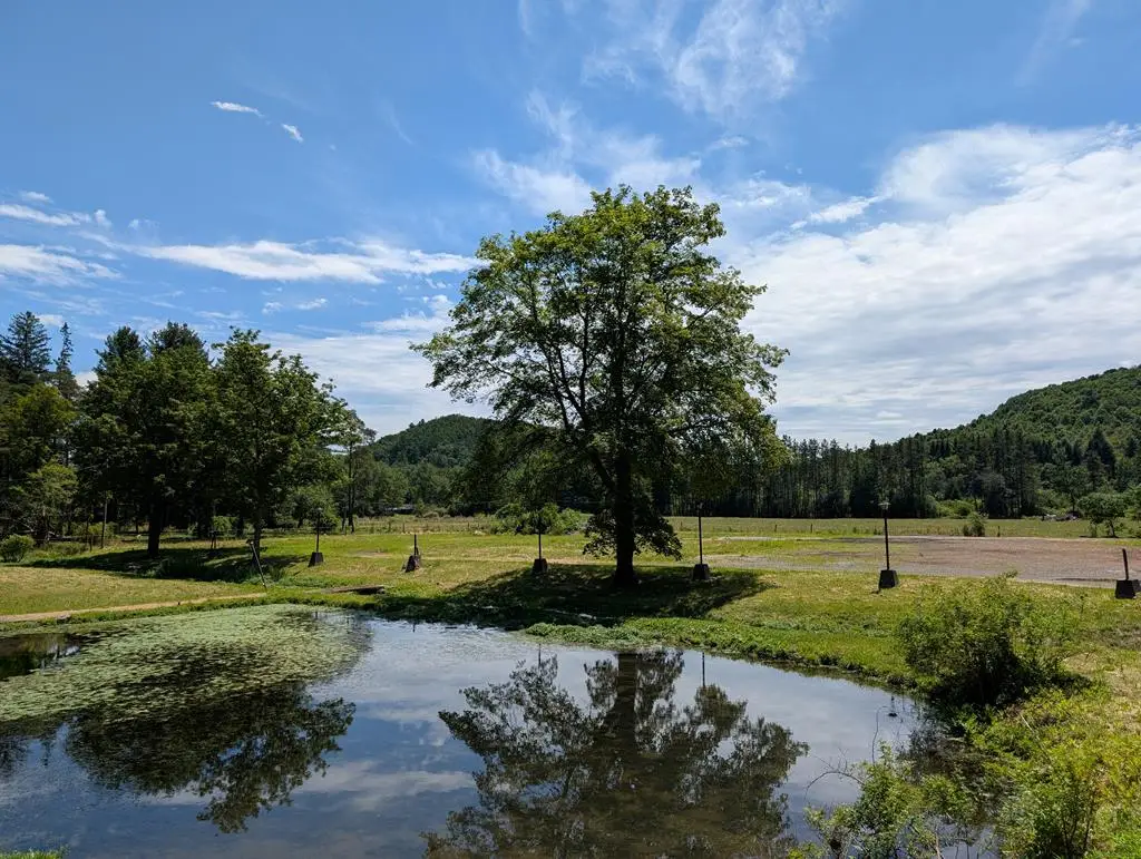 478 East 2nd Street, Coudersport, PA 16915 - Image #1