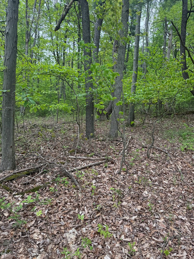 0 Orange Hill Rd, Athens, PA 18810 - Image #2