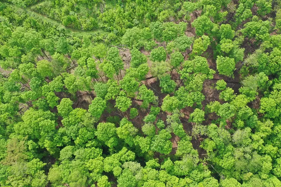 000 Hwy 44, Oswayo, PA 16915 - Image #2