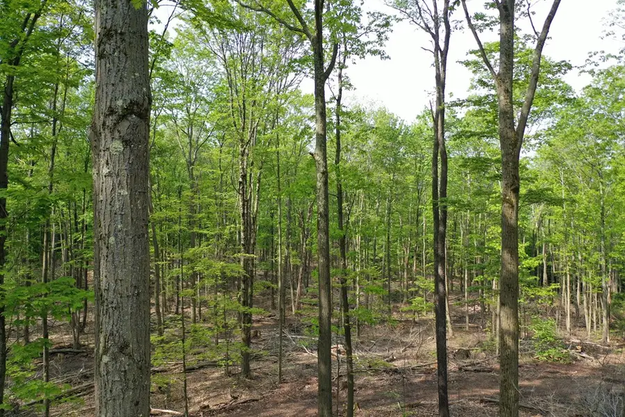 000 Hwy 44, Oswayo, PA 16915 - Image #3