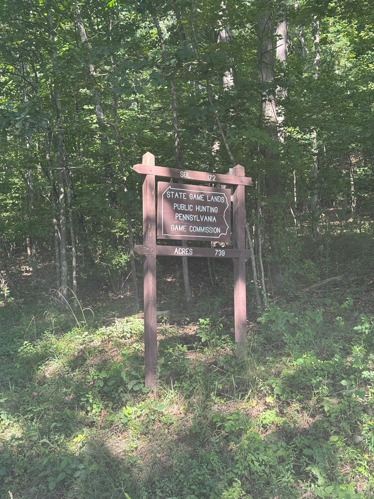 1233 Mills Rd, Sugar Run, PA 18846 - Image #3