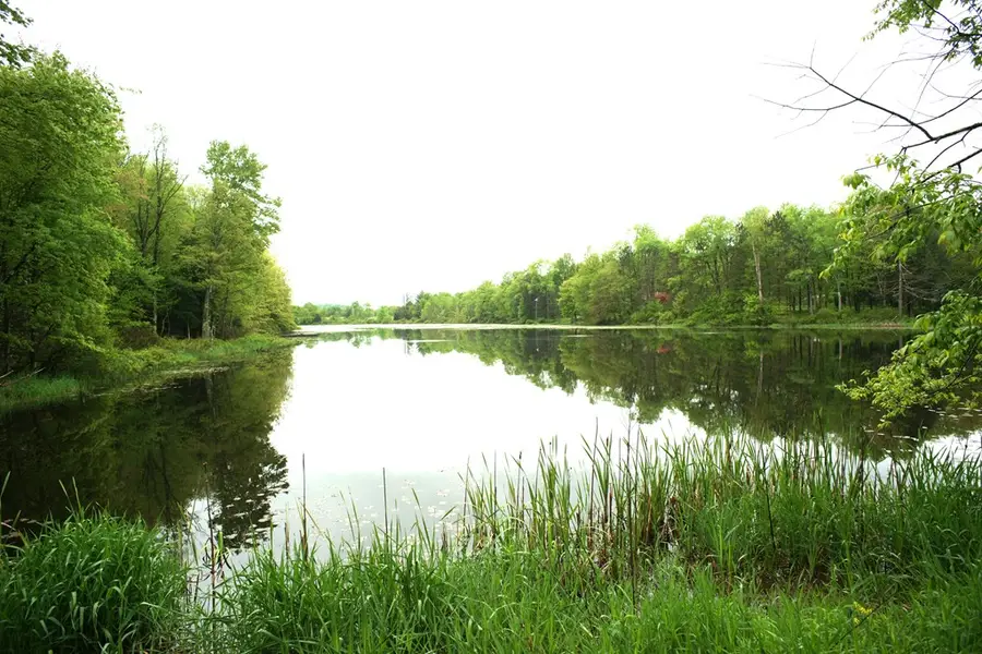 596 Route 4008, Elkland, PA 18614 - Image #2