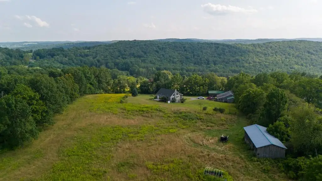 1115 Davenport Hill Rd., Nichols, NY 13812 - Image #1
