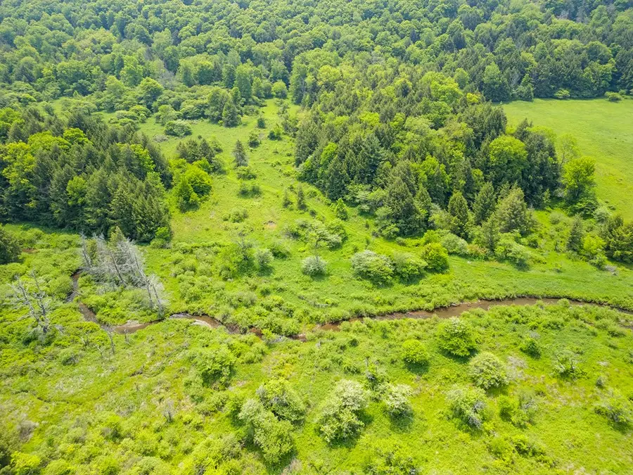 000 Bingham Center Road, Genesee, PA 16923 - Image #3