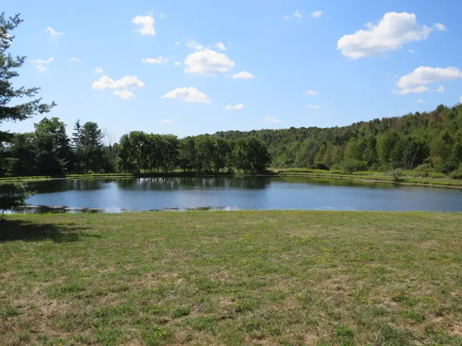 1307 Baxter Hill Rd, Troy, PA 16947 - Image #3