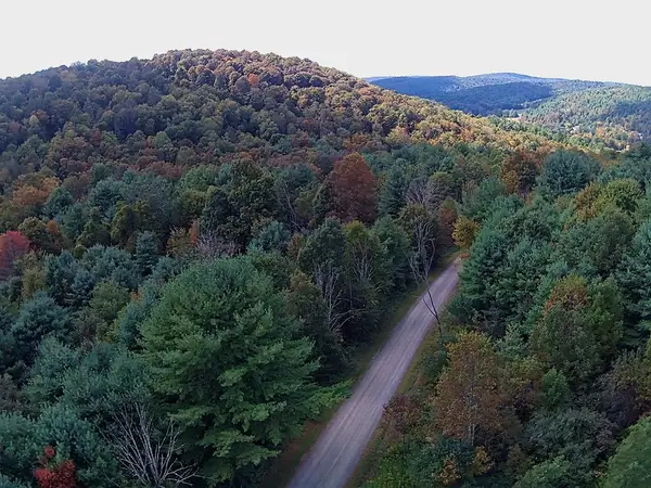 53.25 ac Raglan Road, Rome, PA 18837