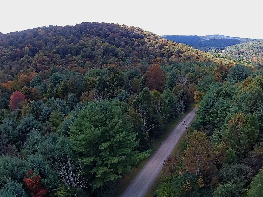 53.25 ac Raglan Road, Rome, PA 18837 - Image #2