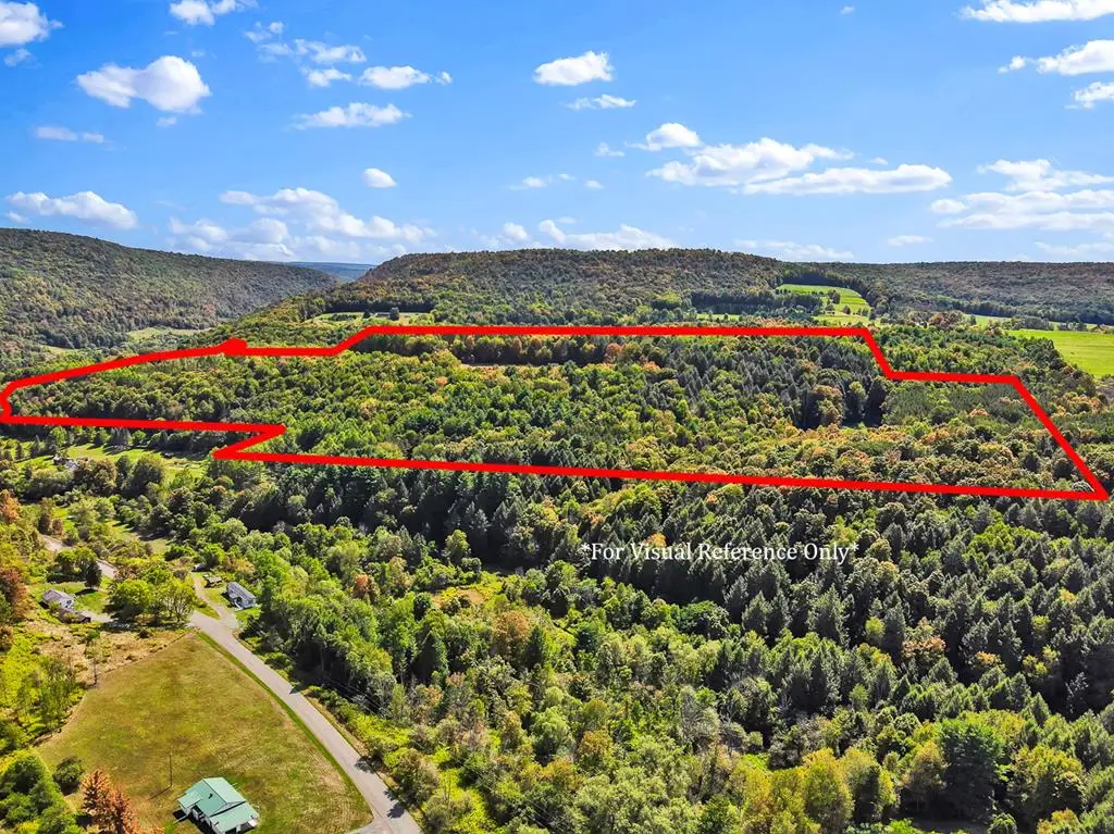 0 Broughton Hollow Rd, Wellsboro, PA 16901 - Image #1