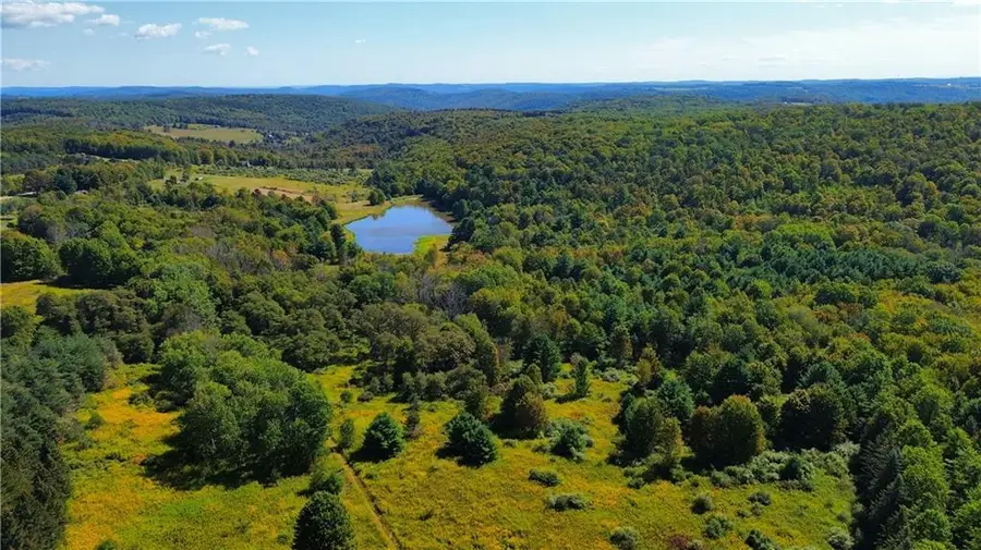 1290 Ayers Road, Gillett, PA 16925 - Image #3