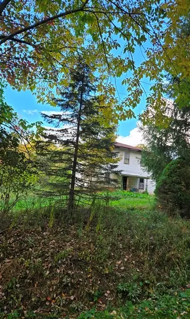 663 Slack Hollow Road, Eldred, PA 16731 - Image #2