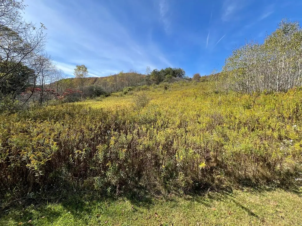 32 Phoebe Lane, Coudersport, PA 16915 - Image #1