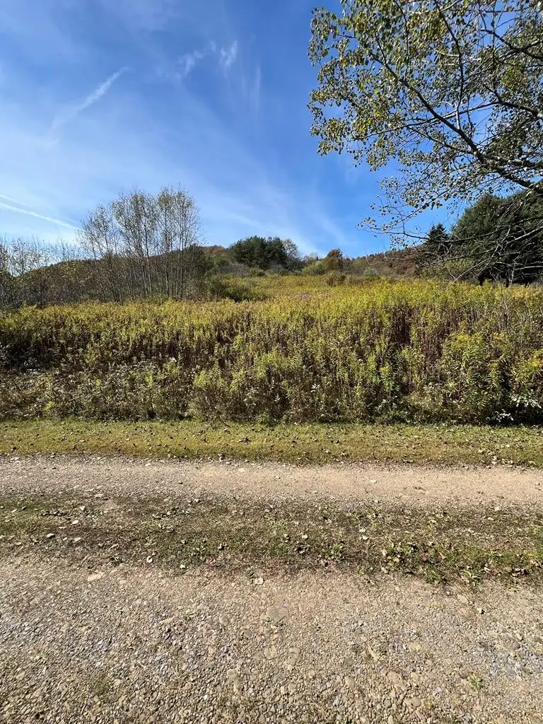 32 Phoebe Lane, Coudersport, PA 16915 - Image #2