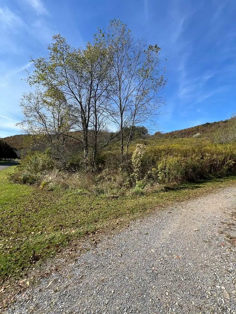 32 Phoebe Lane, Coudersport, PA 16915 - Image #3