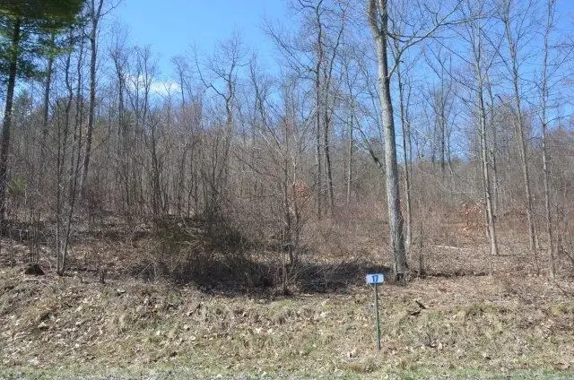 Lot 17A Hemlock Hills Rd, Towanda, PA 18848 - Image #2