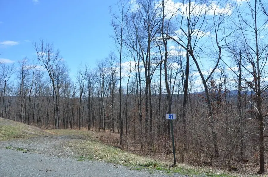 Lot 41A Hemlock Hills Rd, Towanda, PA 18848 - Image #2