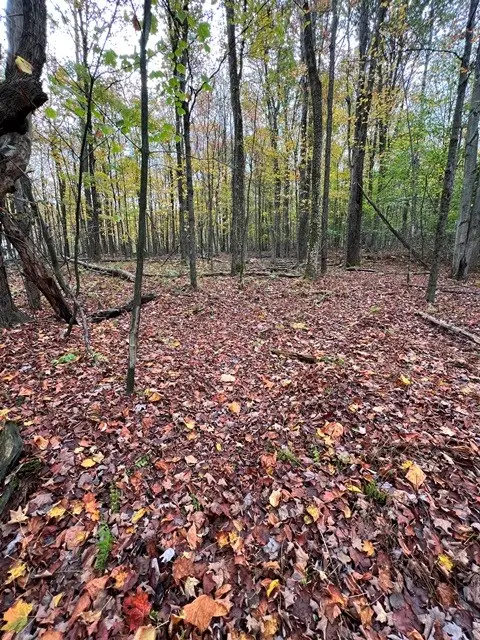 00 Northup Road, Westfield, PA 16950 - Image #2