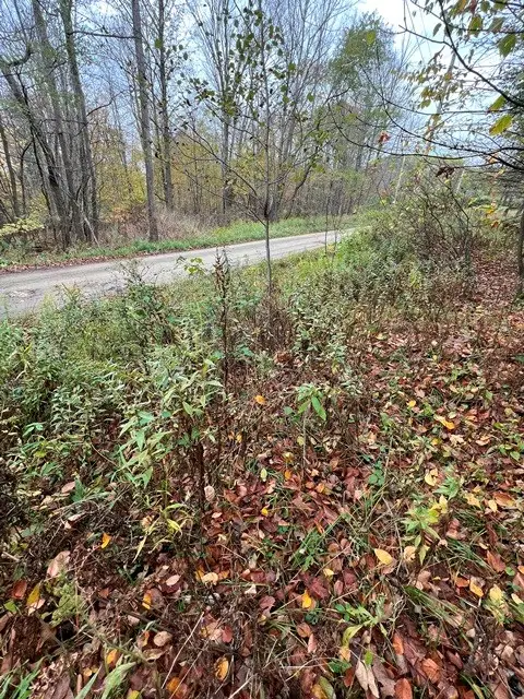 00 Northup Road, Westfield, PA 16950 - Image #3