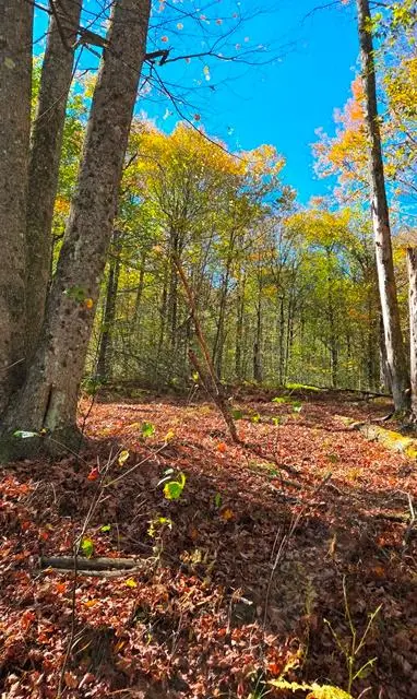 00 Aspen Valley Drive, Austin, PA 16720 - Image #1