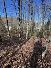 2999 State Route 607, Austin, PA 16720 - Image #2