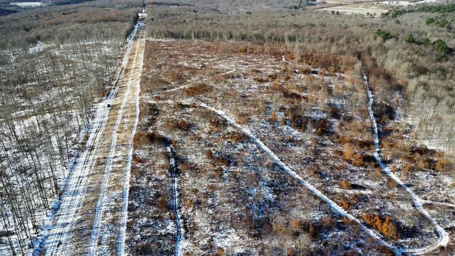 443 South Branch Rd., Coudersport, PA 16915 - Image #3