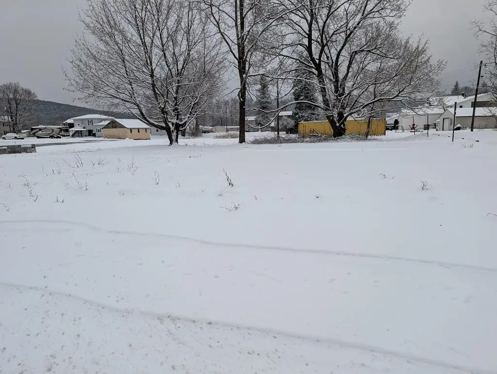 0 Mechanic Street, Lawrenceville, PA 16929 - Image #1