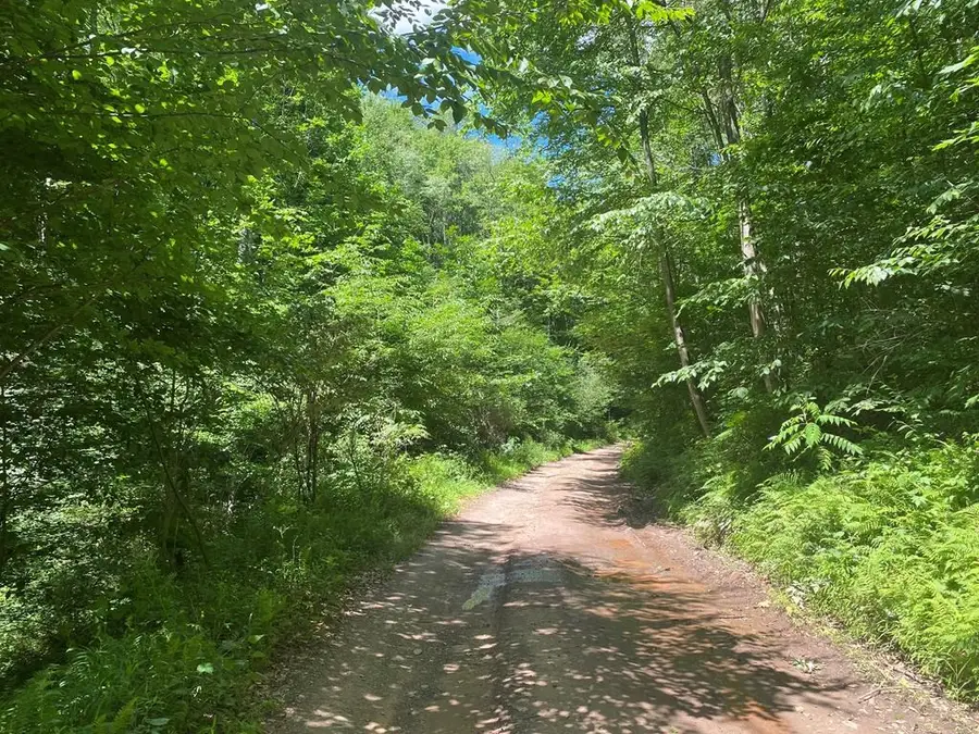 00 Route 872, Austin, PA 16720 - Image #3