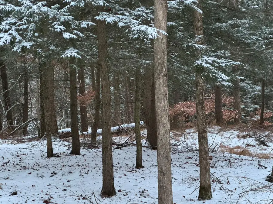 0 Sackett Creek Road, Sayre, PA 18840 - Image #2