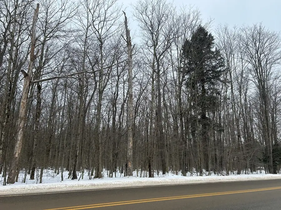 000 Cherry Springs Road, Coudersport, PA 16915 - Image #3