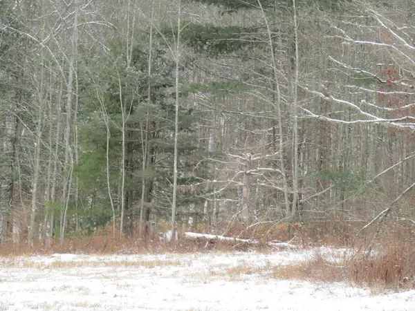 00 Bird Creek Rd, Pine City, NY 14871