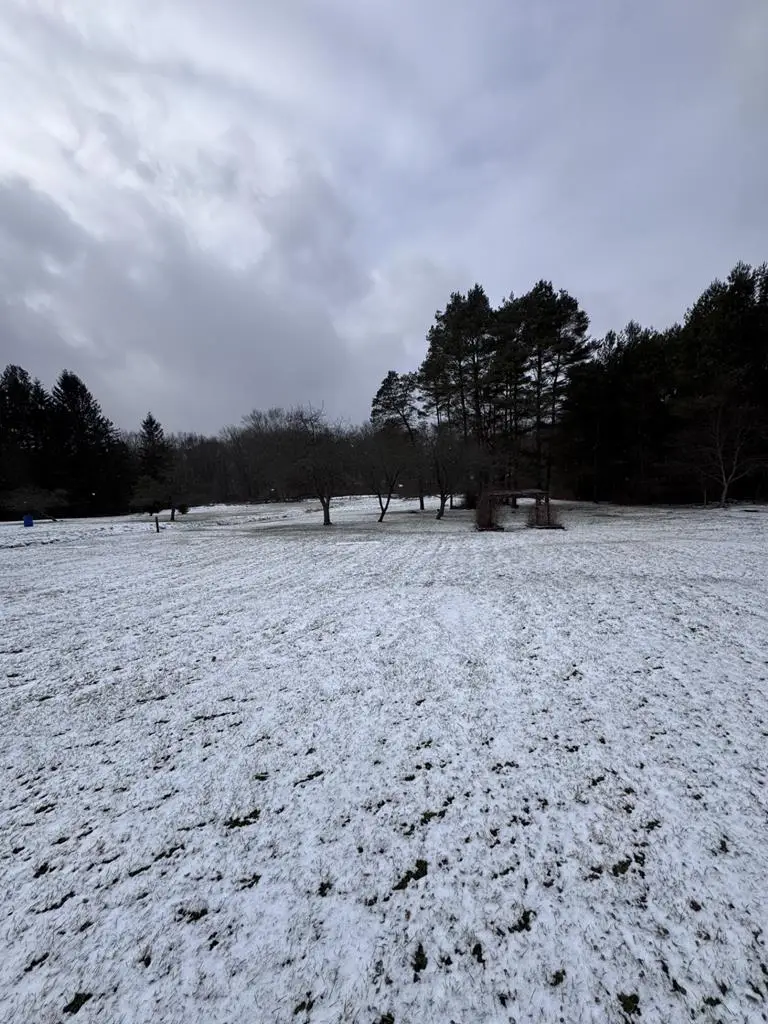 3401 Route 446, Eldred, PA 16731 - Image #2