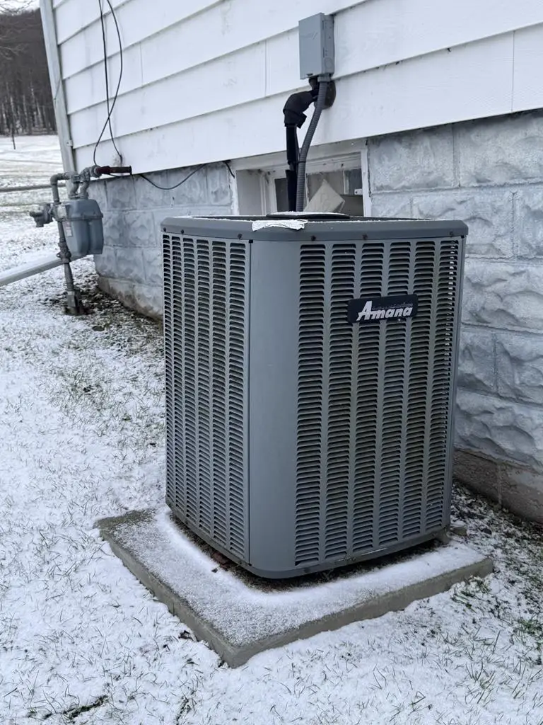 3401 Route 446, Eldred, PA 16731 - Image #3