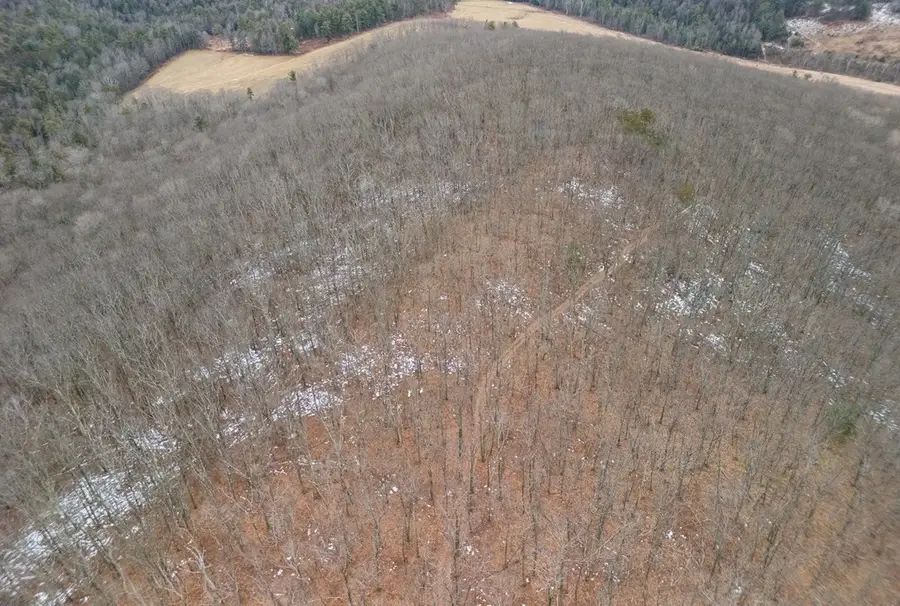 0 Red House Hollow Road, Osceola, PA 16942 - Image #2