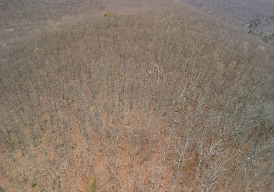 0 Red House Hollow Road, Osceola, PA 16942 - Image #3