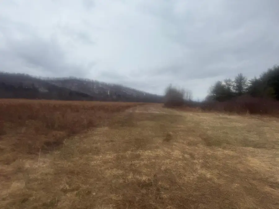 72 Pinney Lane, Shinglehouse, PA 16748 - Image #3