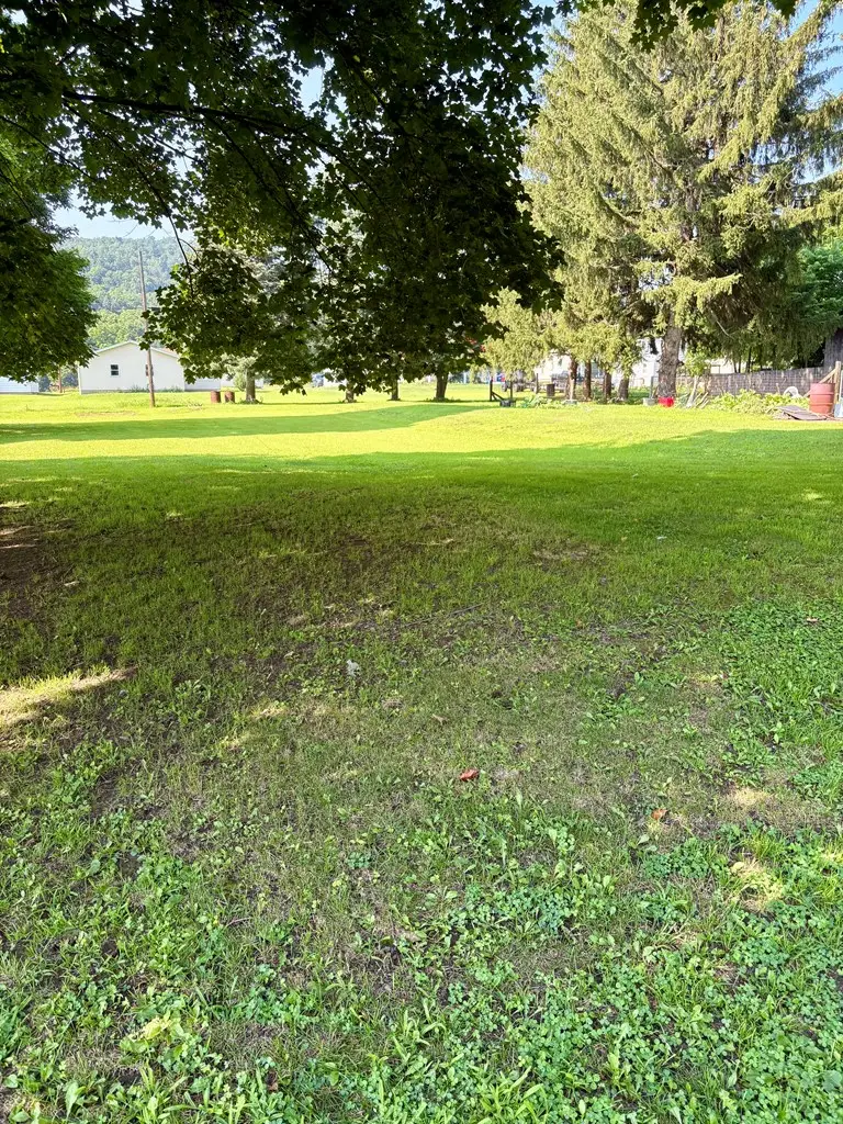 1009 Front St, Athens, PA 18810 - Image #3