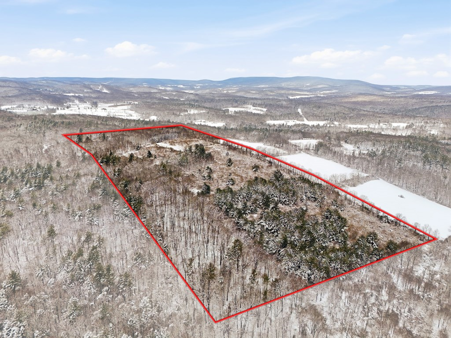 699 Cross Creek Ln, Wyalusing, PA 18853 - #3