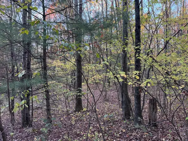 0 Oxbow Road, Waverly, NY 14892