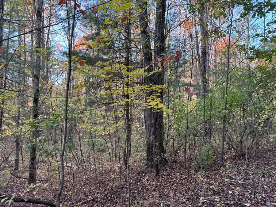 0 Oxbow Road, Waverly, NY 14892 - #2